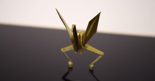 [VIDEO] Paper Crane Origami Is Classic, But When They Did THIS To It… You OUGHT To See This!!