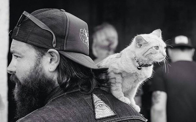 Badass Biker Rescues Burn-Victim Cat, But He Doesn’t Just Stop There!