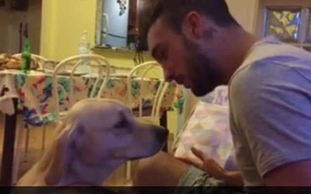This Dog Asking For Forgiveness Will Make Your Heart Melt