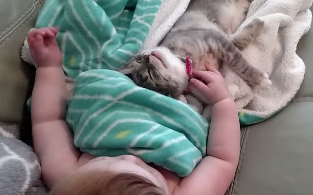 Kitten And Baby Awake From A Cat Nap–Their Lazy Reaction Is Just Too Cute!