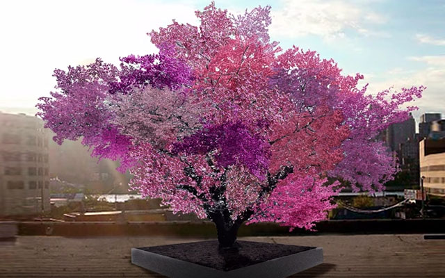 The Tree of 40 Fruit — How One Man’s Fascination Turned The Fantastical To Real Life