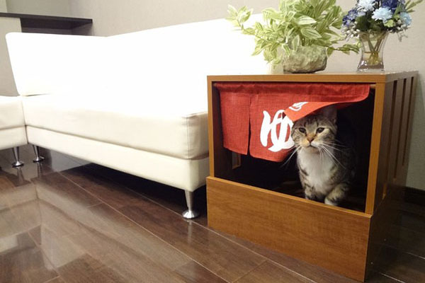 Cute Japanese “Onsen” Litter Box Gives Cats Another Layer Of Self-Privacy