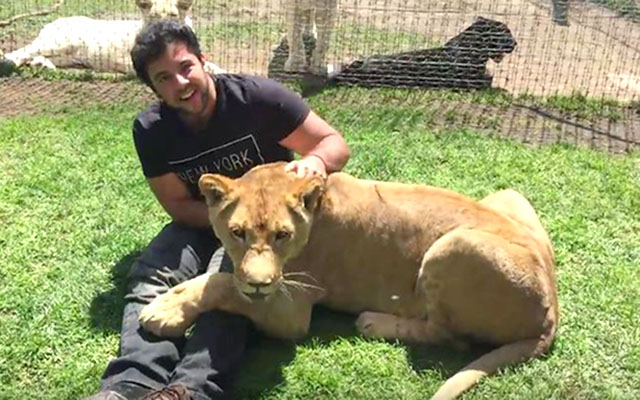 This Lioness Was Reunited With Her Adoptive Dad And Their Friendship Didn’t Skip A Beat