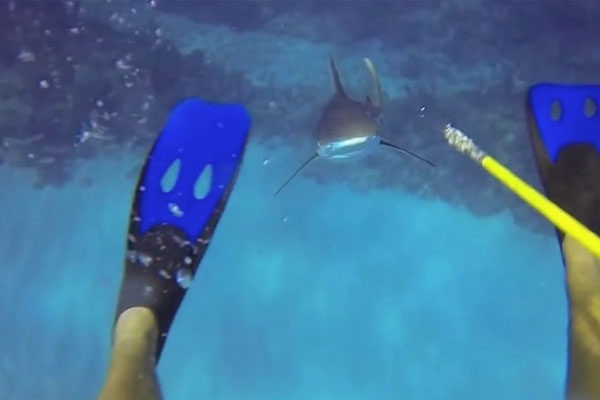 [VIDEO] While Assigned to Protect The Ocean An Unexpected Encounter…