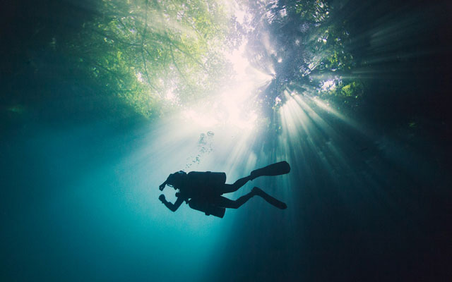 12 Underwater Photographs That Capture The Beauty Of The Unknown