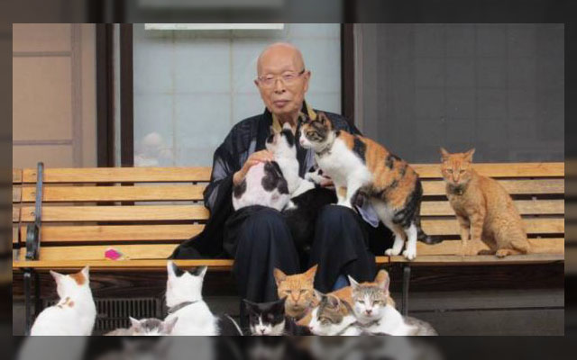 Japan Has A Temple For Cats, And It’s Really Sweet
