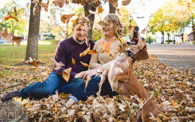 Excited Dog Photobombs Couple’s Engagement Photos