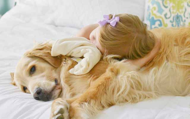 This Little Girl Tucks In Her Dogs Every Night Before Bed