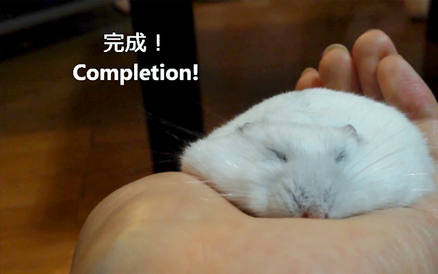 Lesson On how To Make Your Hamster As Flat As Possible