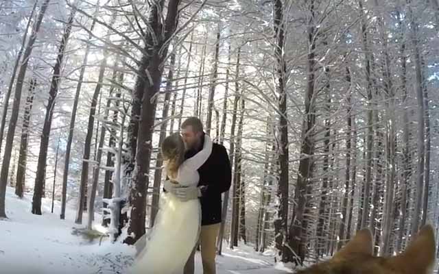 Dog Filming Couple’s Wedding Intimately Captured What No Other Cameraman Could