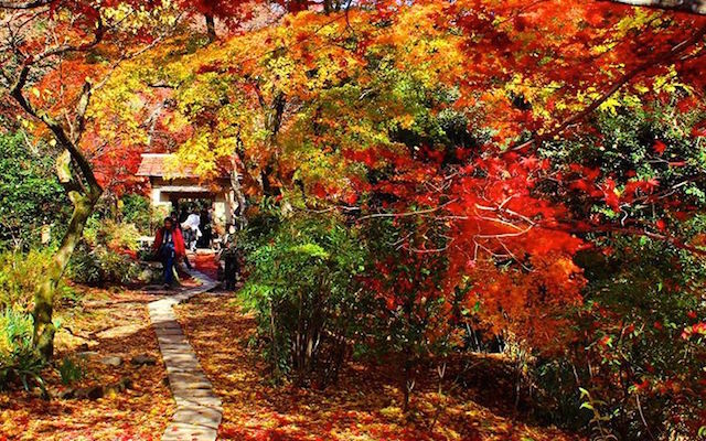 7 Photos Of Kyoto’s Autumns Leaves – A Sweet Spot For Centuries