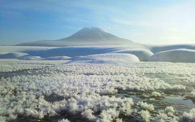 Majestic Frost Flowers Cover Entire Lake In Snowy Hokkaido