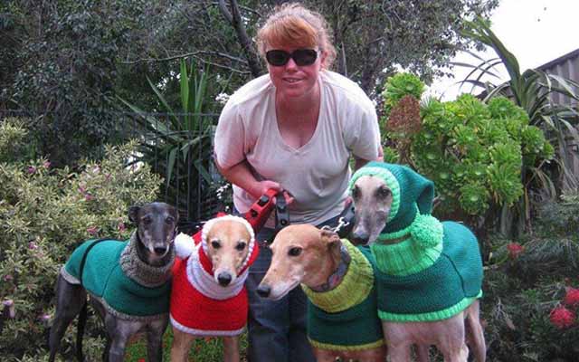 This Woman Quit Her Job To Knit Sweaters For Abandoned Greyhounds