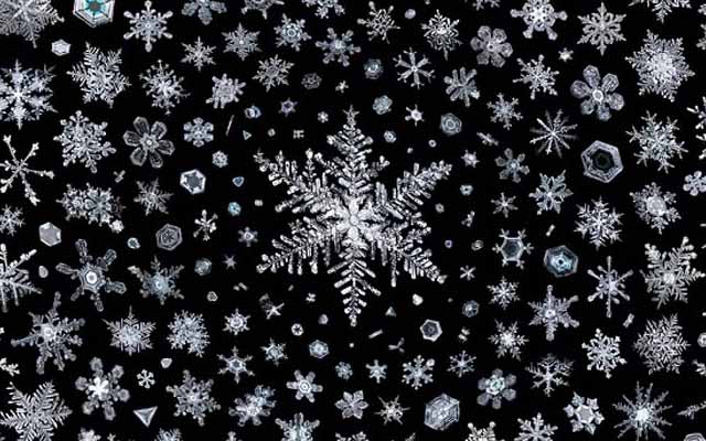 The Snowflake: A Culmination Of 5 Years Photographing Individual Snowflakes