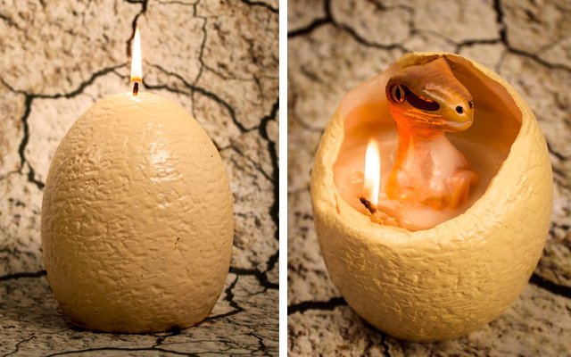 Dinosaur Egg Candle Hatches Baby Raptor Here To See The Modern World