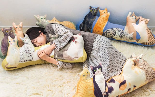 Create Your Own Kitty Land With Some Pillows