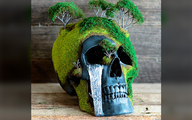Bonsai Skulls Combine Life And Death In Beautiful Detail