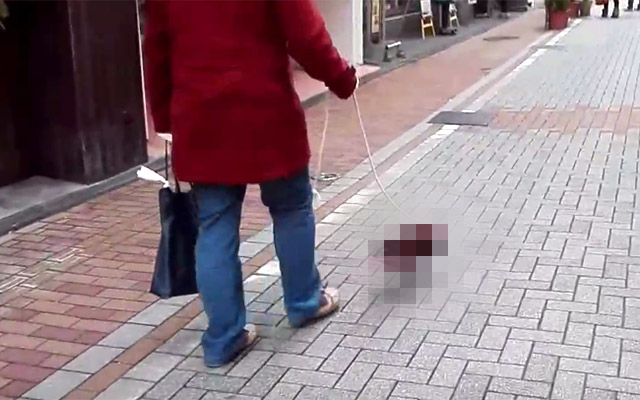 WTF!? Mysterious Invisible Dog Sighted In Japan