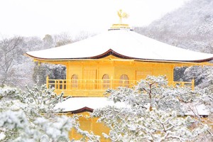 If Snow Falls In Kyoto, Rush To The Golden Pavilion