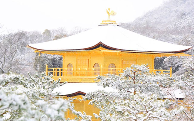 If Snow Falls In Kyoto, Rush To The Golden Pavilion