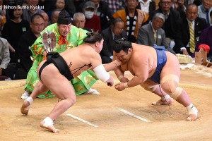 A Japanese Wrestler Might Become A Sumo Champion For The First Time In 10 Years!