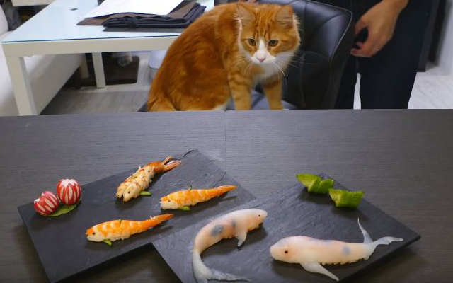 Cooking Delicious Japanese Dishes With A Gorgeous Cat Assistant!