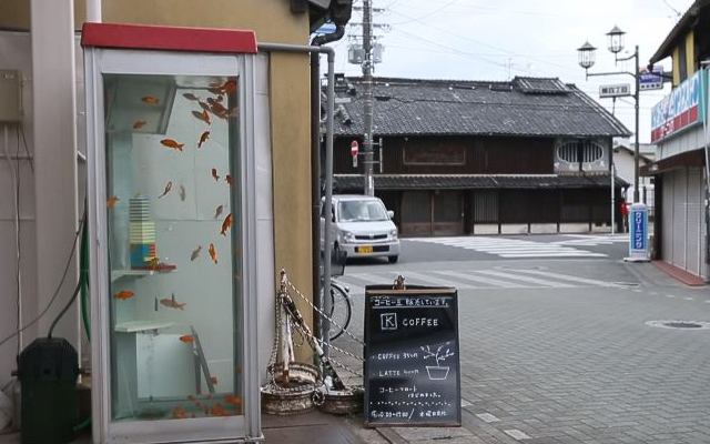 The Strangest Fish Tank In Japan Is A Great Customer Magnet