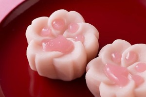 Small Cat Paw-Shaped Sakura Sweets