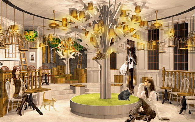 New Luxurious Cat Cafe Opens In The Fashion District Of Harajuku