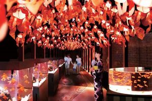 The New Edo Goldfish Wonderland Opens In Tokyo’s Skytree With 1000 Goldfish