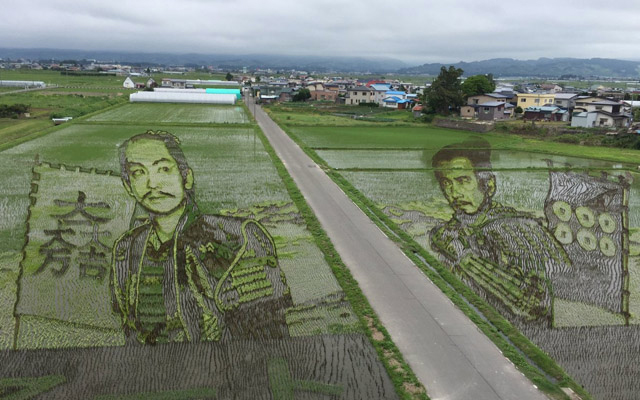 2016 Rice Paddy Art Displays Massive Works Of Godzilla And Samurai Warriors