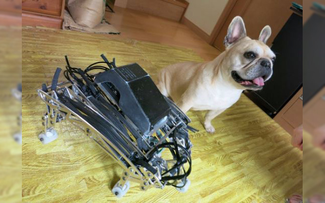 Japanese Robot Dog Powered By Pneumatics Runs As Cute And Clumsy As A Real Pup