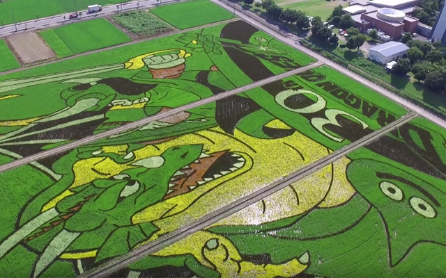 World’s Largest Rice Paddy Art Features Epic Dragon Quest Illustration For 2016