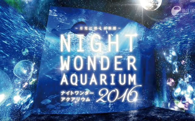 Discover A New Underwater World At The Enoshima Night Aquarium