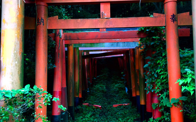 Japanese Traveler Discovers Spooky Shrine Path That Could Spirit You Away