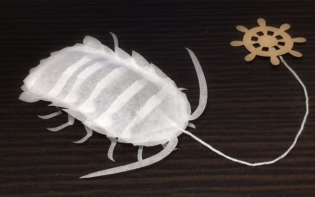 Creepy Giant Isopod Tea Bags Are Ready To Make A Deep Sea Home In Japanese Tea Cups