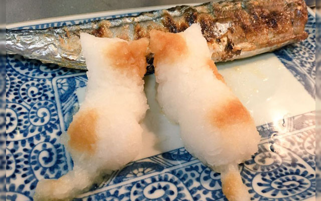Japanese Twitter User Creates The Cutest Kitty Meal Using Daikon And Grilled Fish
