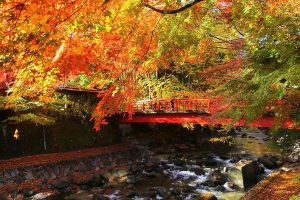 Japanese Government Releases Stock Free Photographs Of Japan’s Breathtaking Sceneries