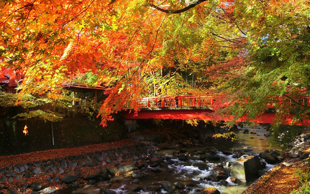 Japanese Government Releases Stock Free Photographs Of Japan’s Breathtaking Sceneries