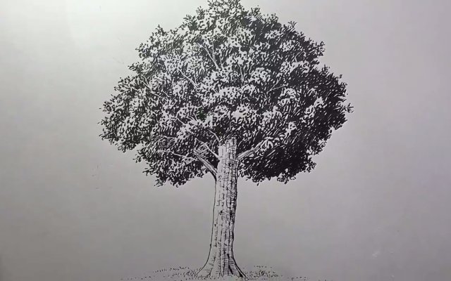 Japanese Artist Shows How To Effortlessly Draw This Realistic Tree