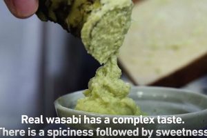 If You’re Not Big On Wasabi, Make Sure You’ve Had The Real Thing!