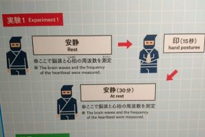 Ninja Poses Have Been Scientifically Proven To Reduce Stress And Calm The Mind