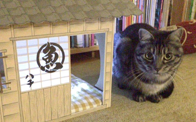Japanese Artist Crafts Amazing DIY Sushi Restaurant House For Cat