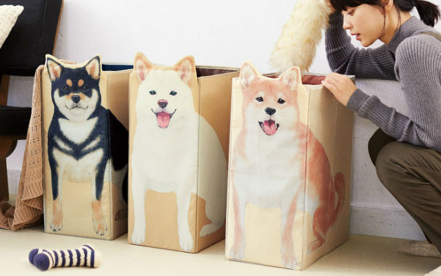 Shiba Dog Trio Will Help You Clean The House As Cute Storage Boxes