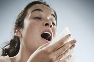 Japanese May Want To Say Sayonara to Stifling Sneezes, Report Reveals
