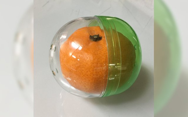 Capsule Toy Containers Actually Make For Great Reusable Orange Containers To Take On The Go