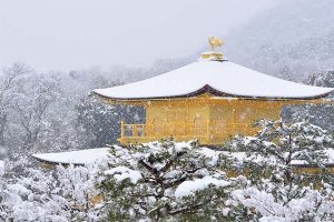 Under Heavy Snowfall, Kyoto Turned Into A Stunning Winter Wonderland