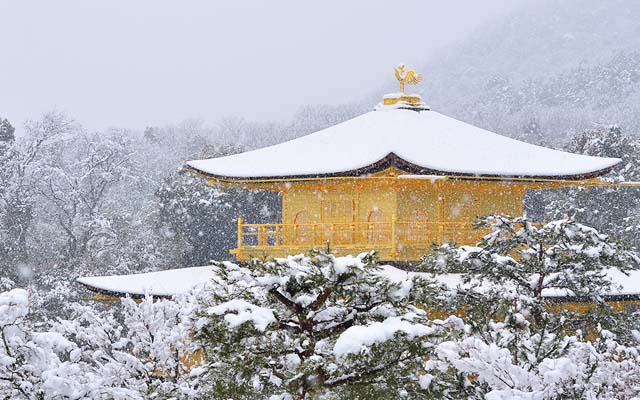 Under Heavy Snowfall, Kyoto Turned Into A Stunning Winter Wonderland