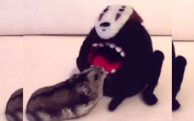 No-Face Tries To Eat Hamster, Furball Adorably Turns His Mouth Into Her Personal Bed
