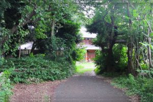 Visiting The House and Forest Of My Neighbor Totoro